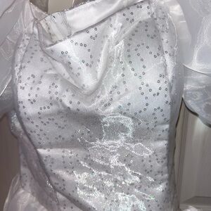 Princess Giselle Costume